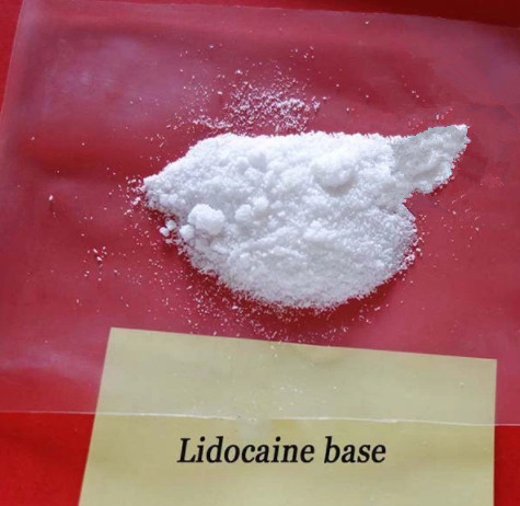 Factory-Lidocaine-base-powder-